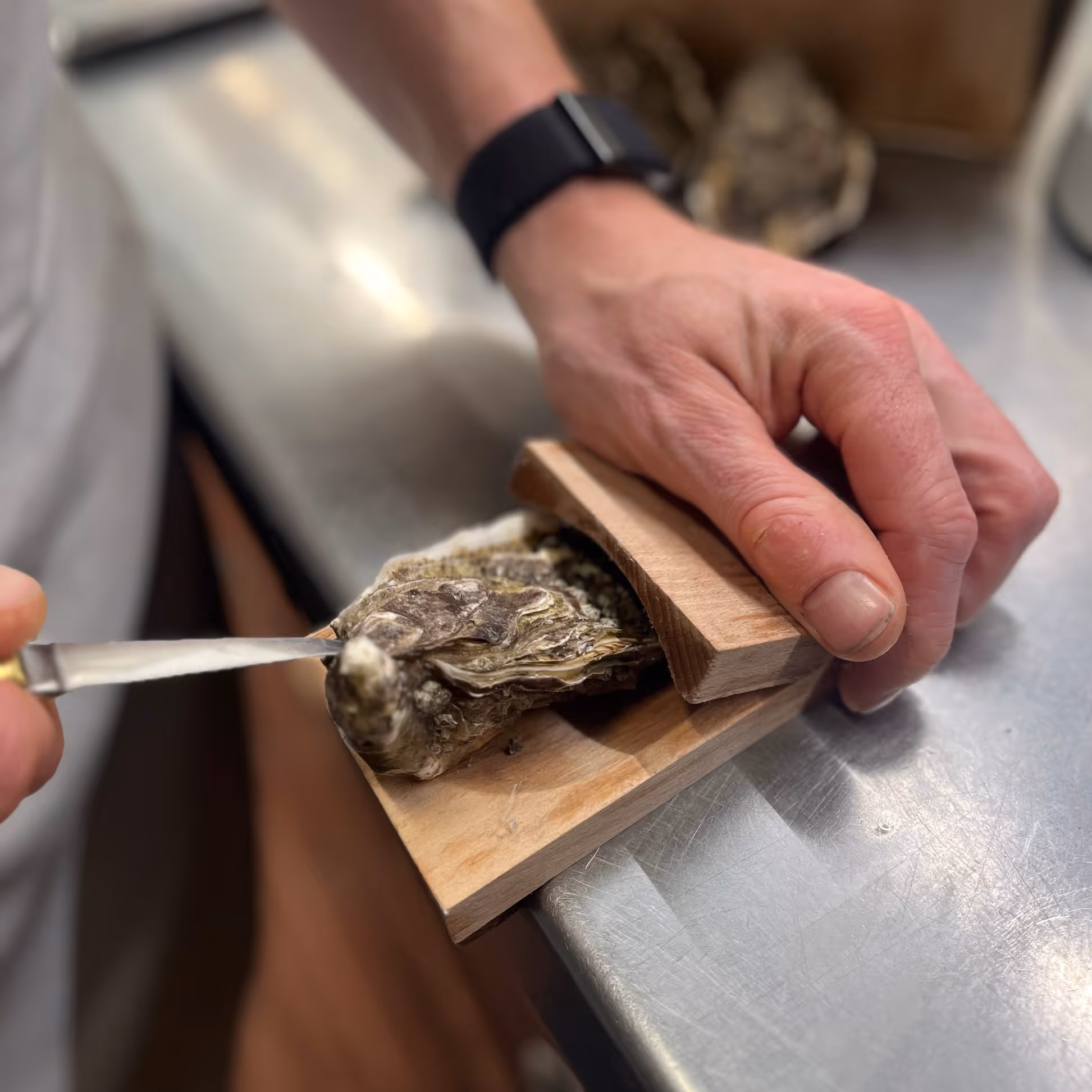 Oyster Shucking Clamp